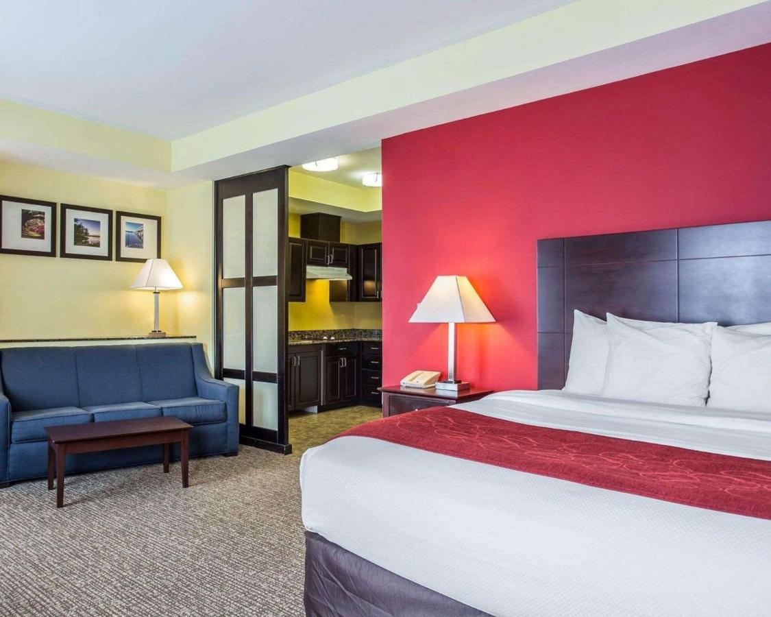 Comfort Suites Rock Hill Manchester Meadows Area Exterior foto